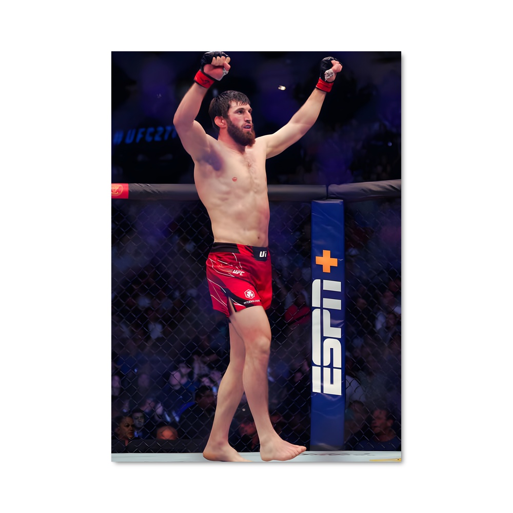 Poster Magomed ankalaev relever